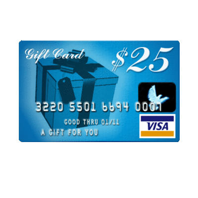 25-visa-gift-card