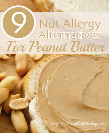 9-nut-allergy-alternatives-for-peanut-butter